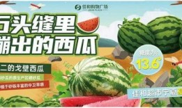 今日吃瓜热门大瓜必看大瓜网红 吃瓜爆料大事件真相,热门大瓜事件真相大曝光